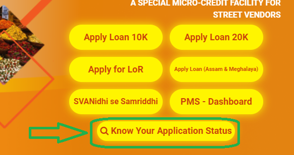 Check Application Status Guide
